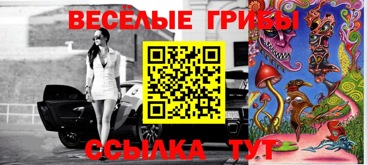 сколько стоит  Галлюциногенные грибы прущие грибы  Вход с VPN  Сосновый Бор 