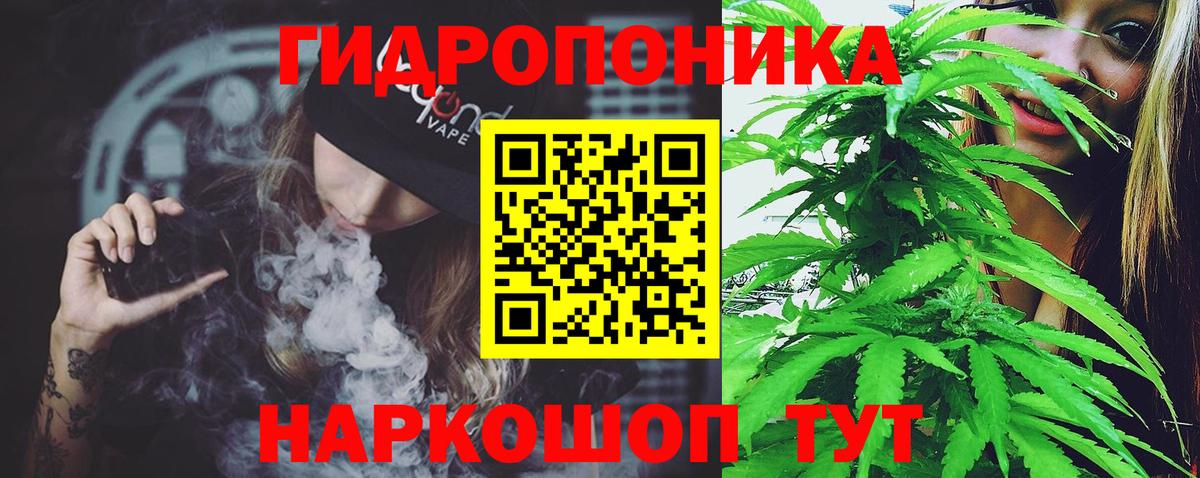 Шишки марихуана план  Канабис AK-47  Сосновый Бор  Вход с VPN 